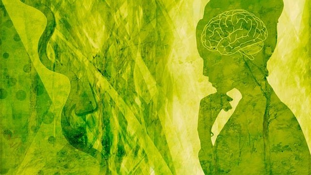 35岁后职业转型，心理学如何帮你打破困局重启人生