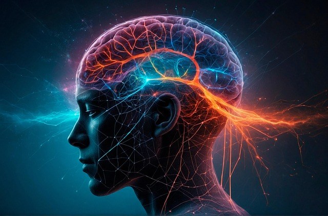 拼命变好的样子正在悄悄毁掉你